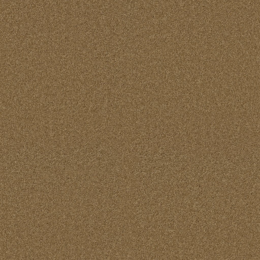 Shaw Floors Enduring Comfort I - Honey Pot