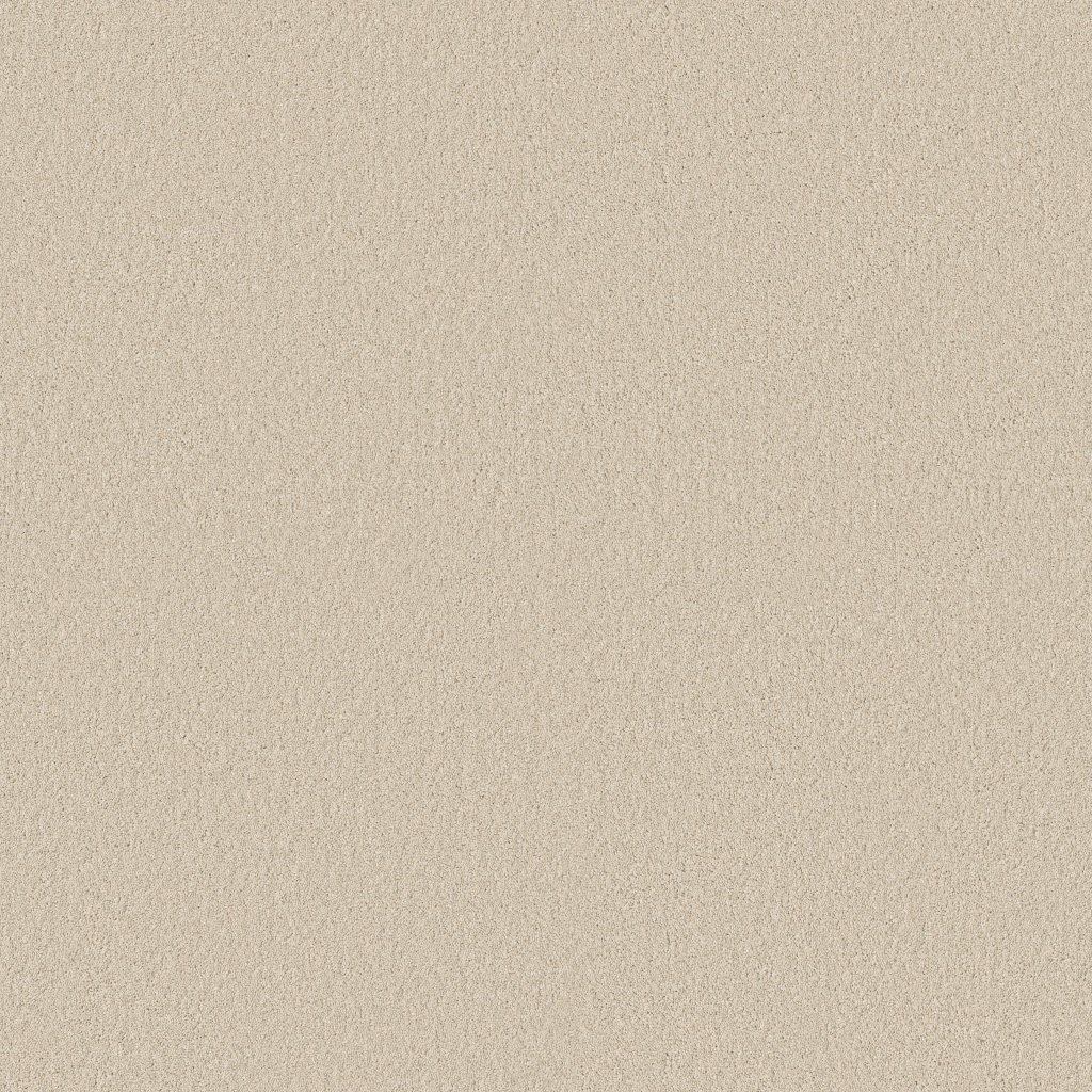 Shaw Floors Classic Tone - Baja