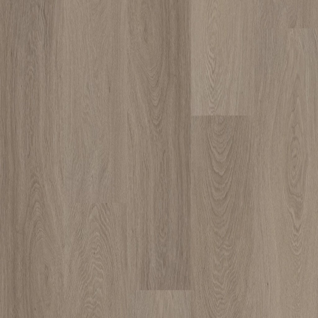 Shaw Floors DISTINCTION PLUS - Executive Oak