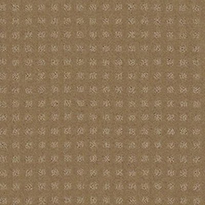 Shaw Floors The Fair - Field Stone