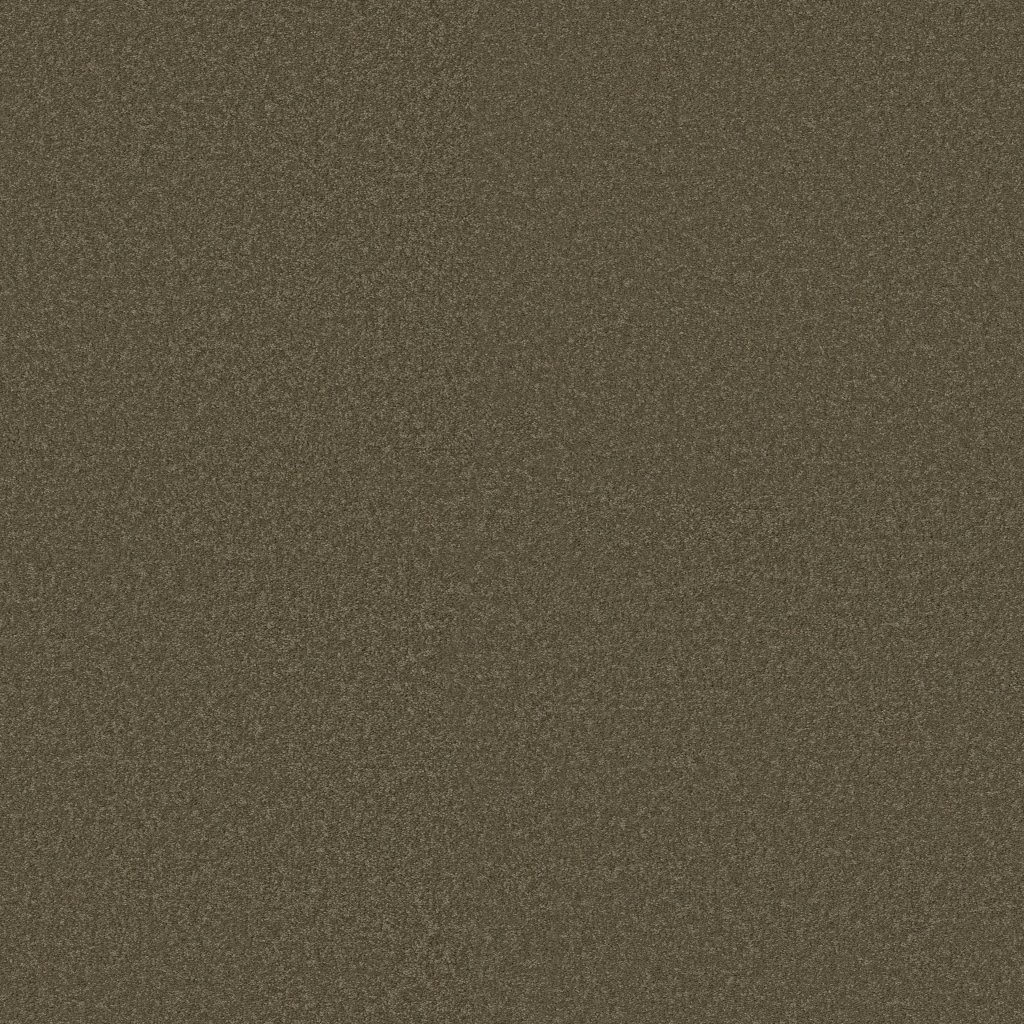 Shaw Floors Shingle Creek IV 15' - Castle Rock