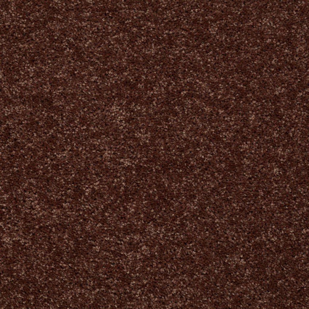 Shaw Floors Royal Portrush I 15' - Flower Pot