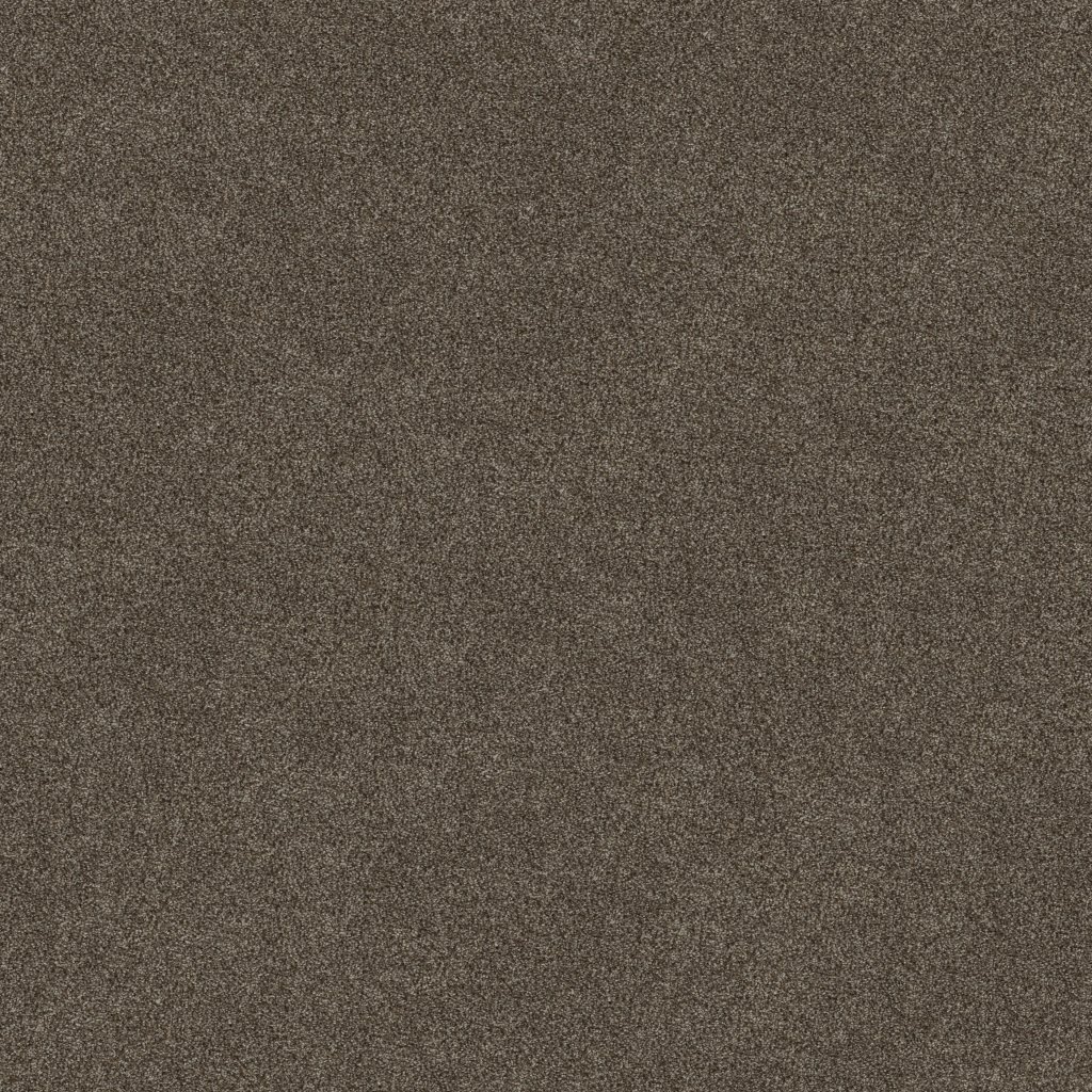 Shaw Floors Truspirit I - Chestnut