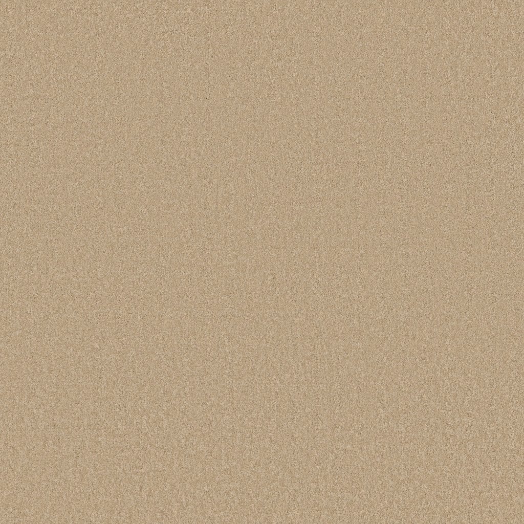 Shaw Floors Timeless Appeal III 12' - Peanut Brittle