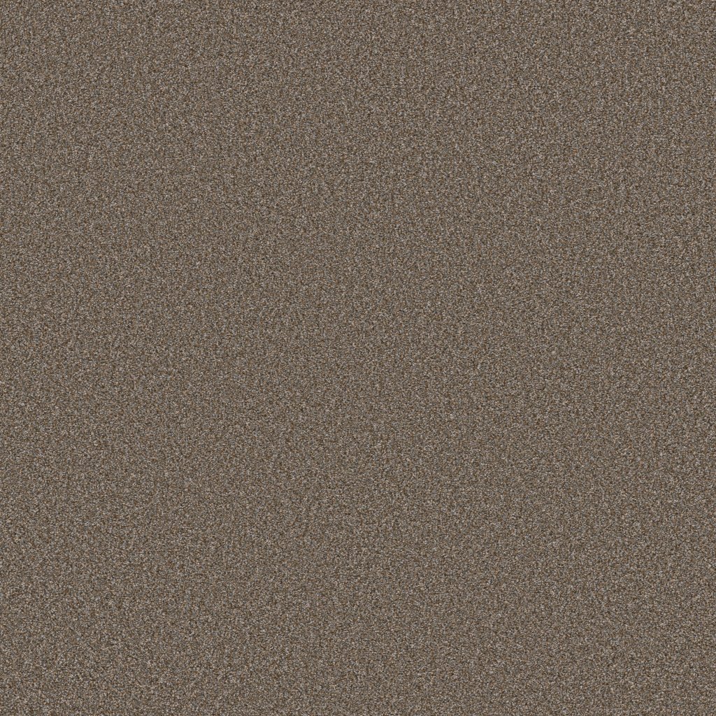 Shaw Floors Tweed Comfort I - Gathering