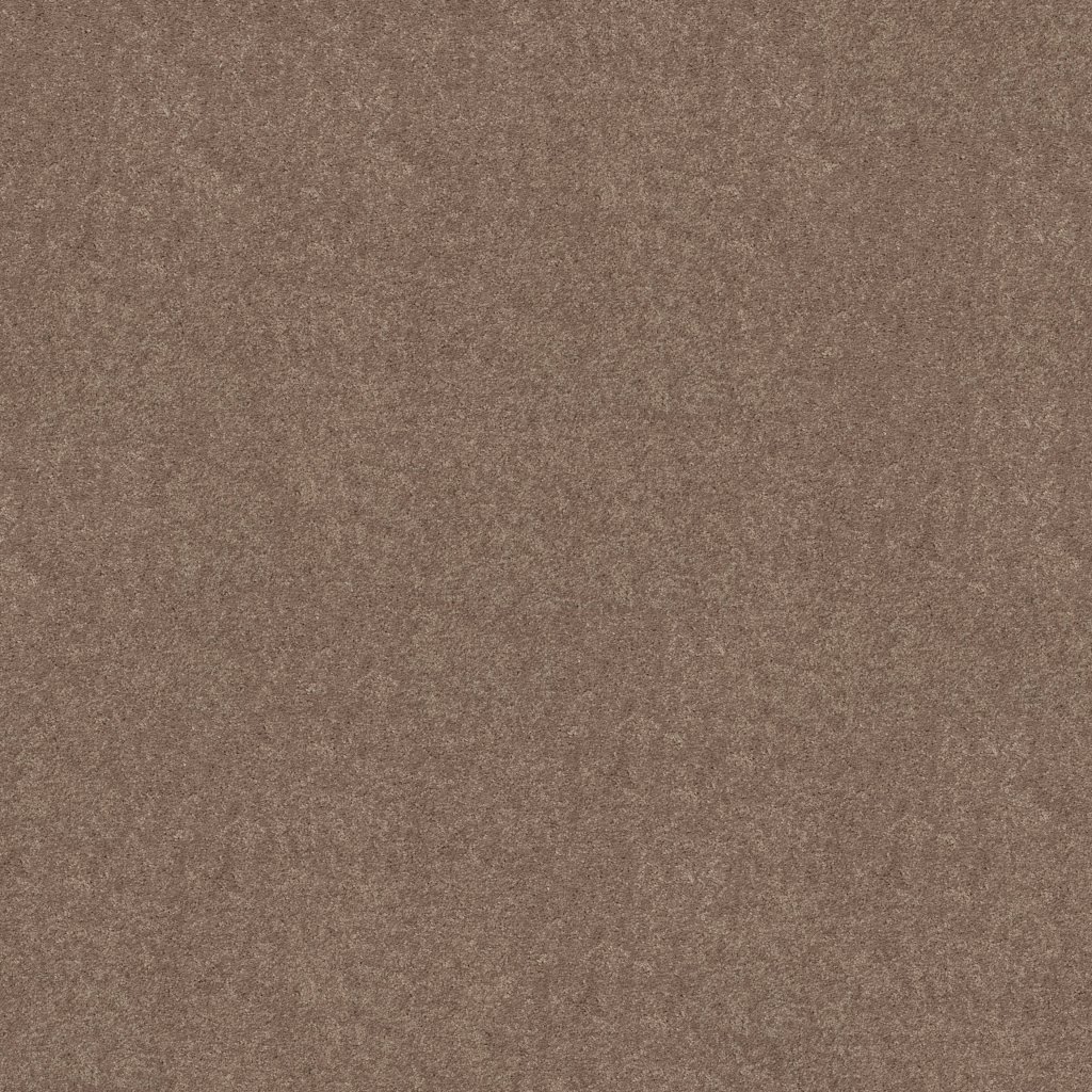Shaw Floors Newbern Classic 15' - Taupe Mist