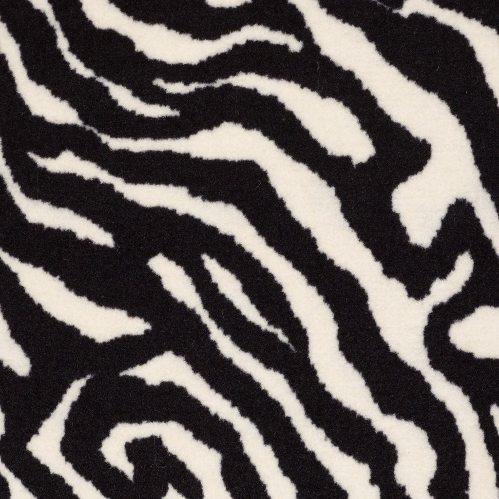 Philadelphia Commercial Zebra - Migrant Beauty