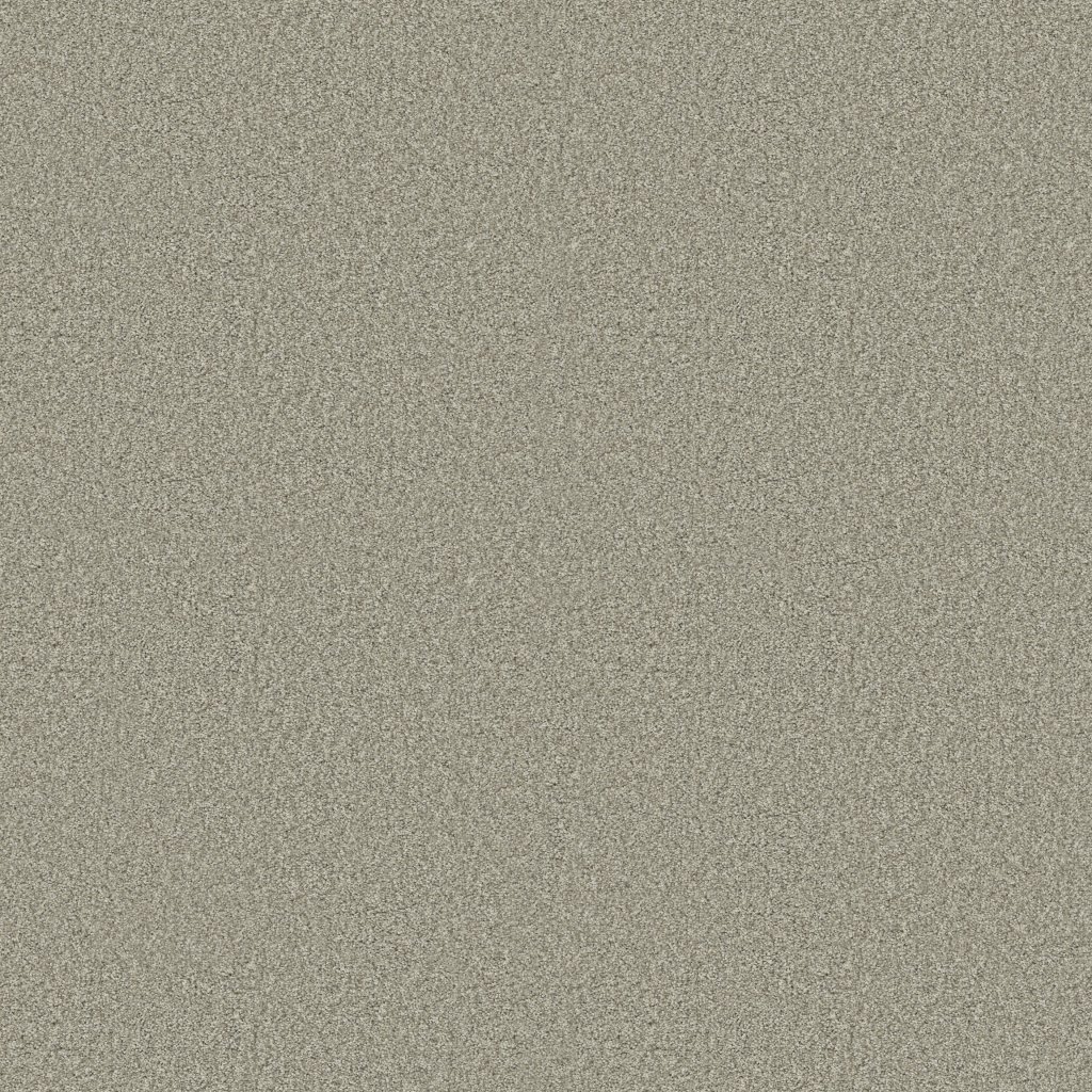 Shaw Floors Tonal Comfort I - Willow Tree