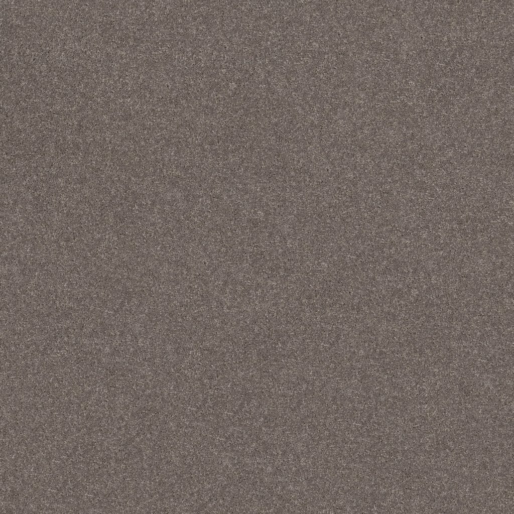 Shaw Floors Smooth Talk I - Urban Taupe