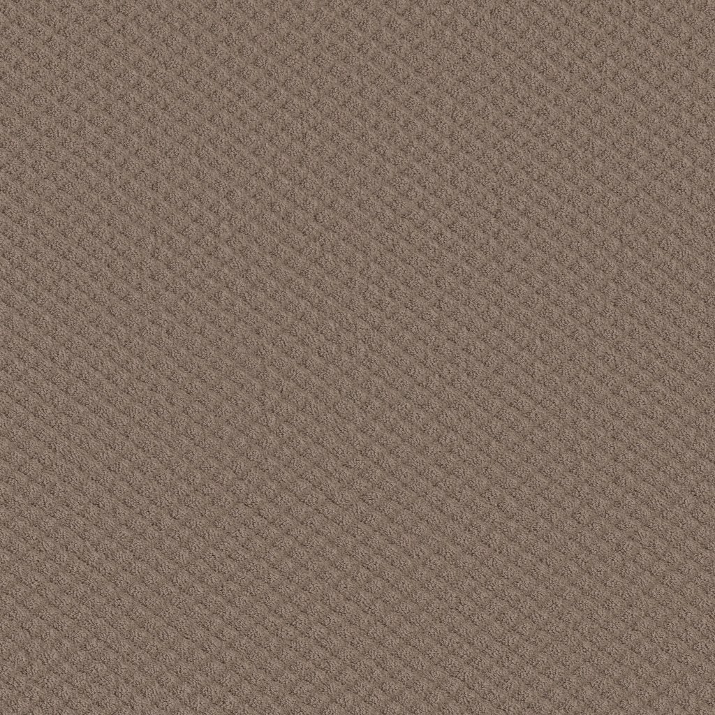 Shaw Floors Midland Charm - Pure Earth