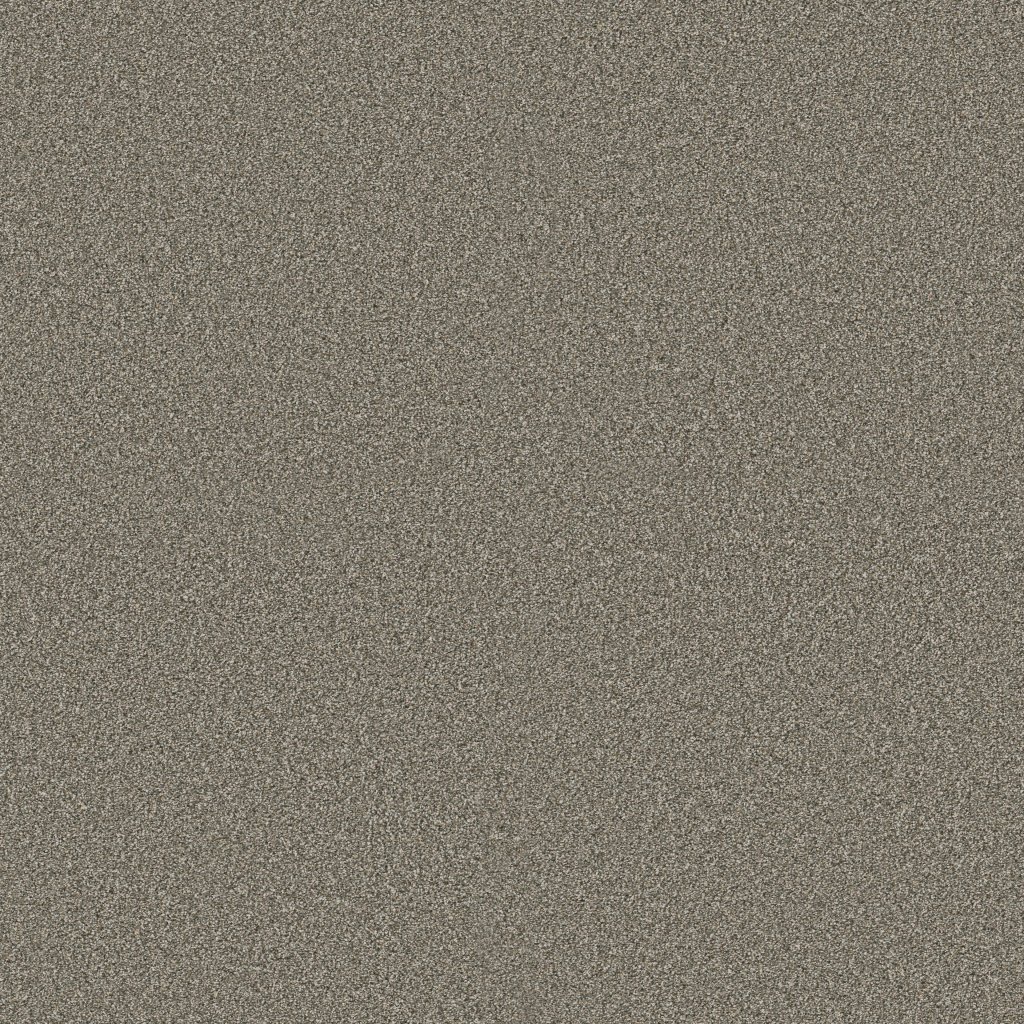 Shaw Floors Timeless Tone Blue - Olive Tree