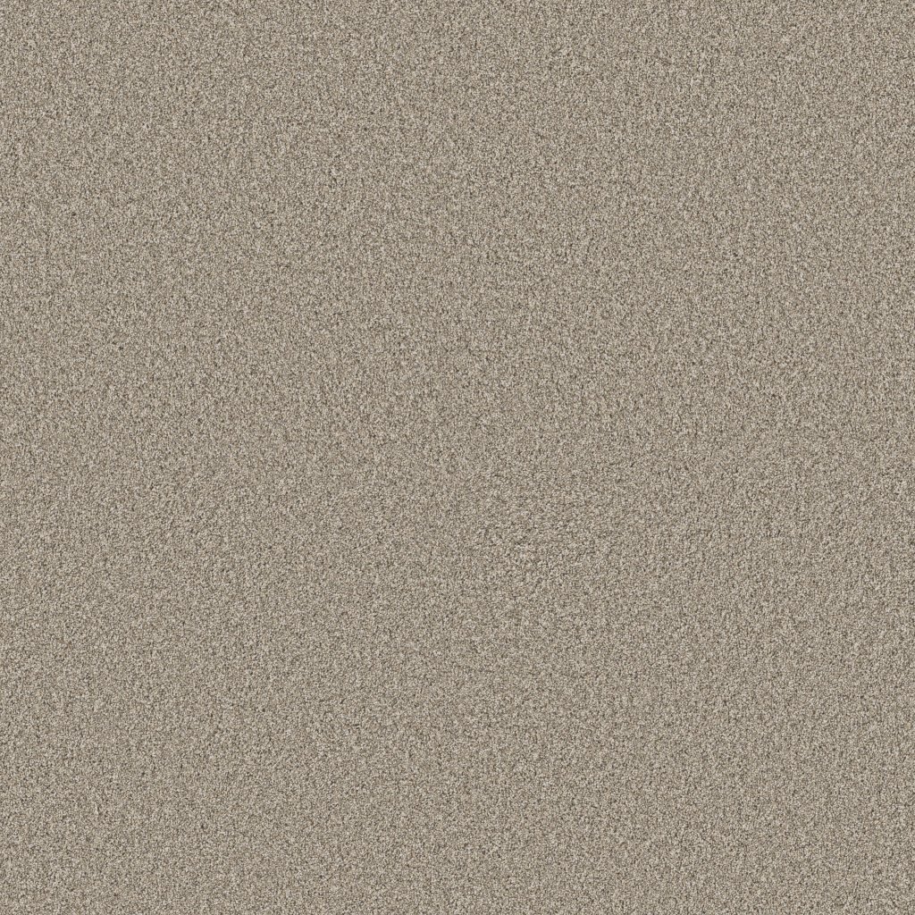 Shaw Floors Timeless Tone Blue - Chateau