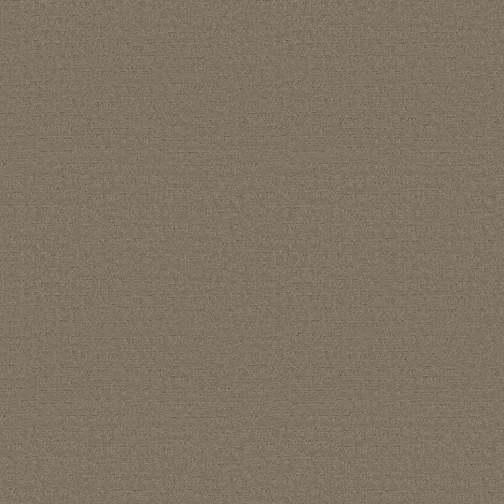 Shaw Floors Solstice - Koala
