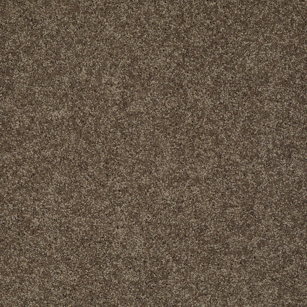 Shaw Floors Inspired By Ii - Weathered Wood
