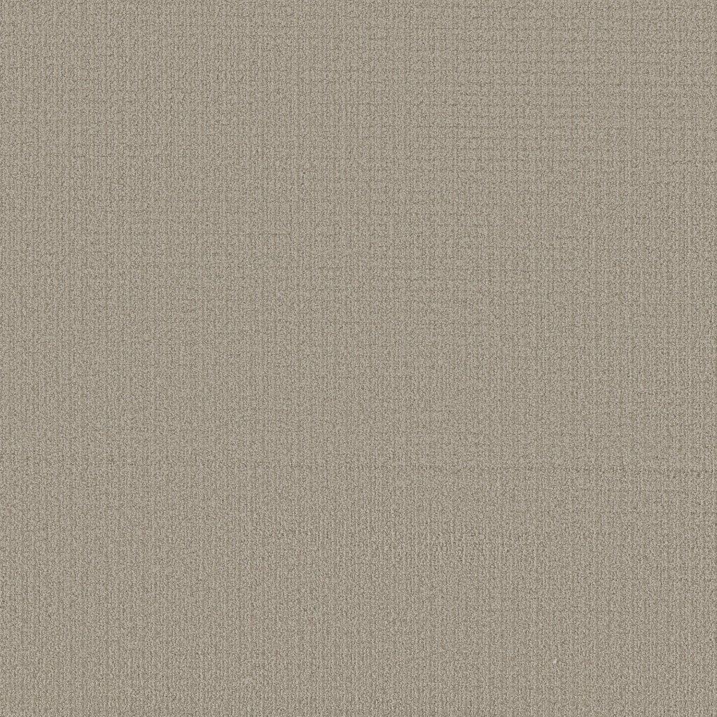 Shaw Floors Aerial Arts - Natural Stone