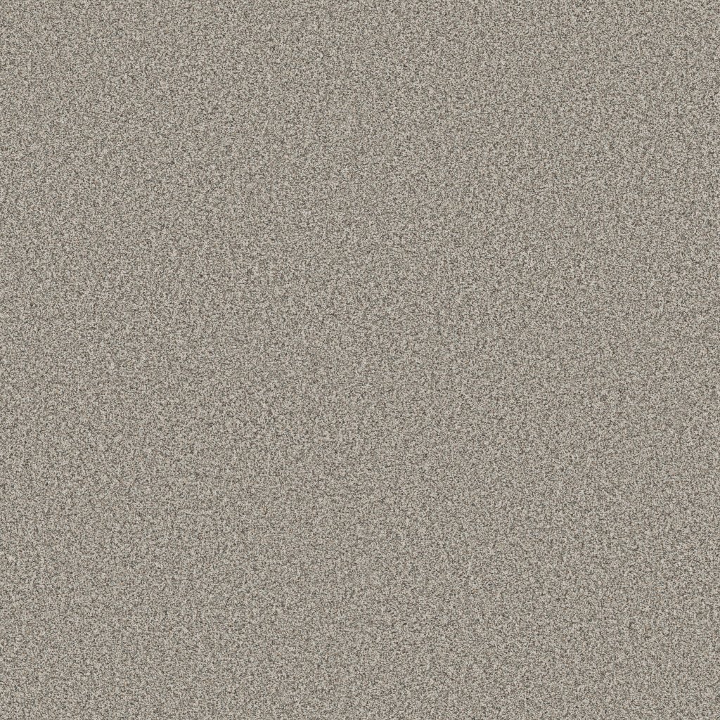 Shaw Floors Timeless Tone Blue - Gateway Grey