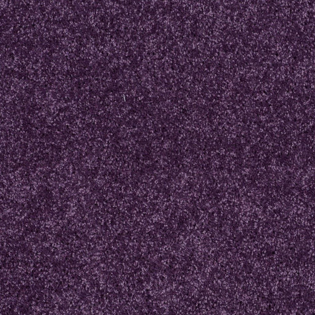 Shaw Floors Fielder's Choice 15' - Grape Slushy