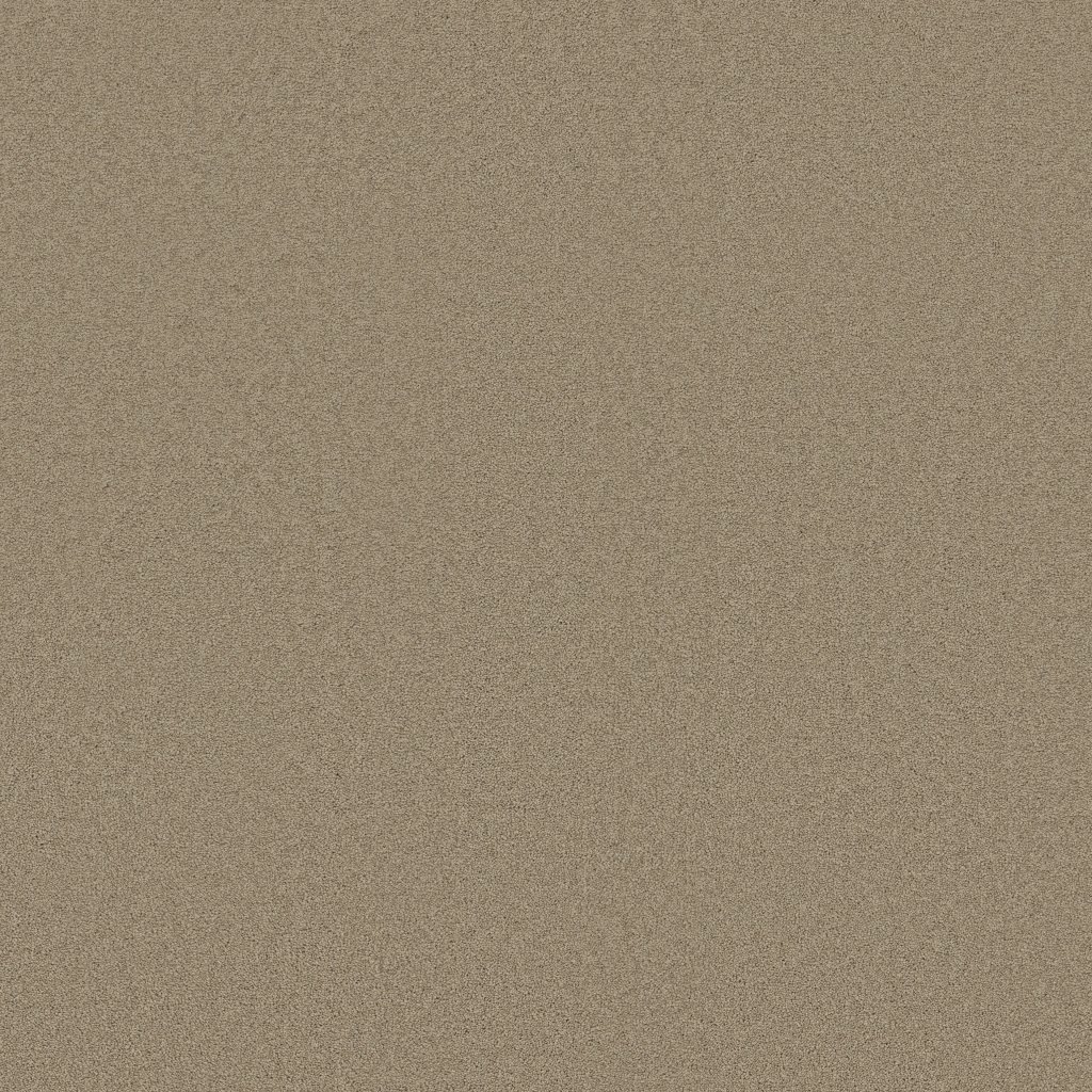 Shaw Floors Timeless Appeal III 12' - Tortoise Shell