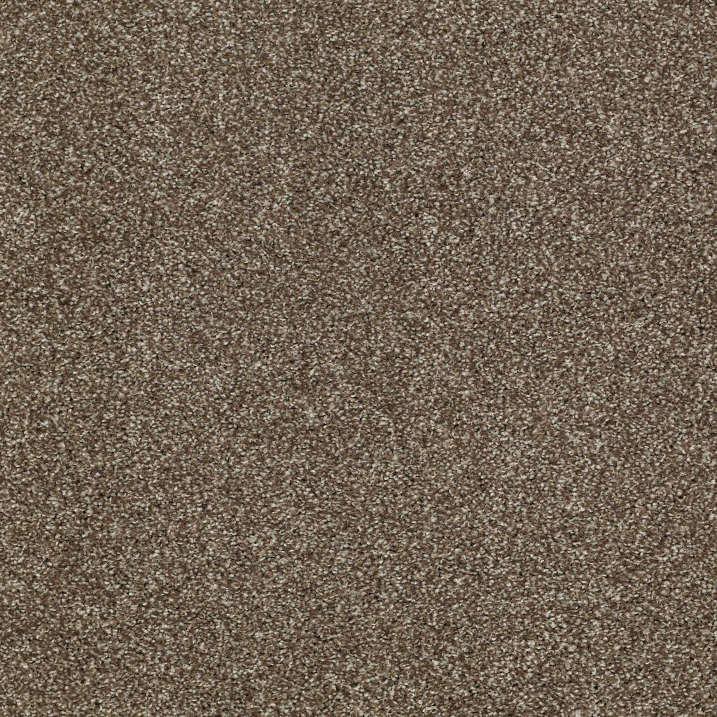 Shaw Floors Sun Drenched - Townhouse