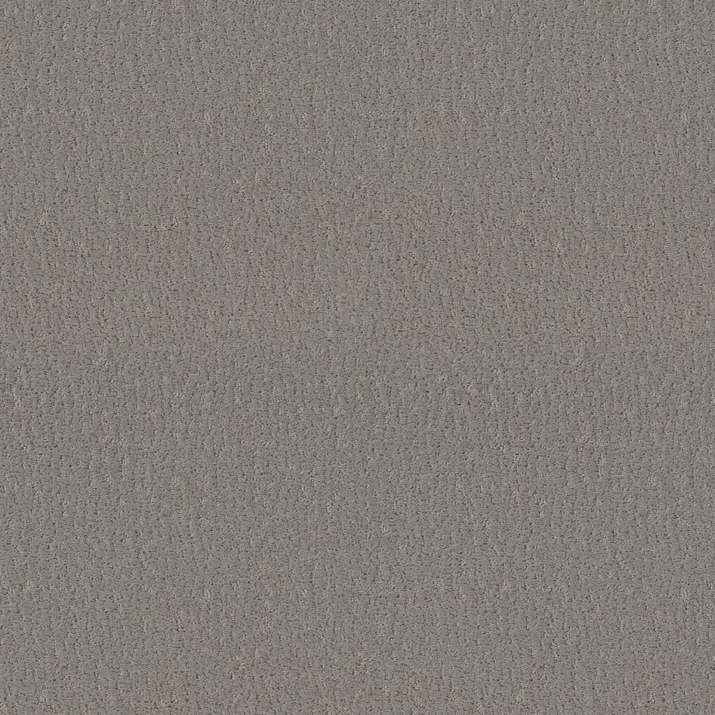 Shaw Floors Studio Set - Fallen Acorn