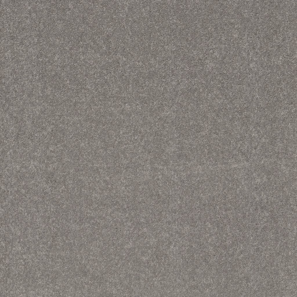Shaw Floors Smooth Talk II - Ink Spot
