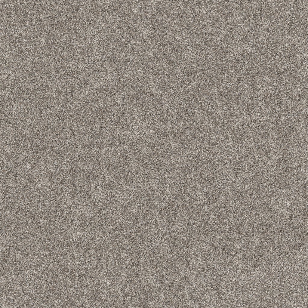 Shaw Floors Grand Outlook - Mission Ridge