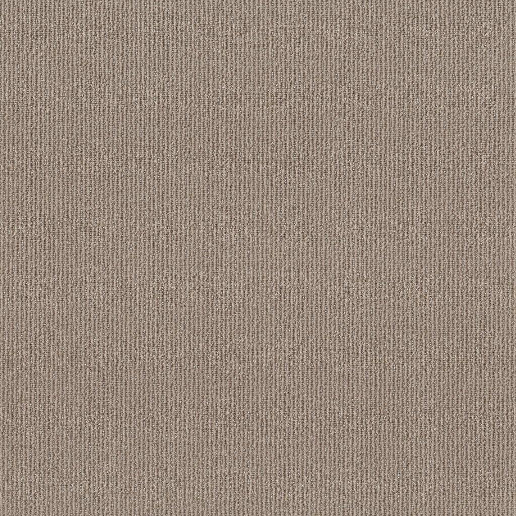 Shaw Floors Feisty - Smooth Taupe