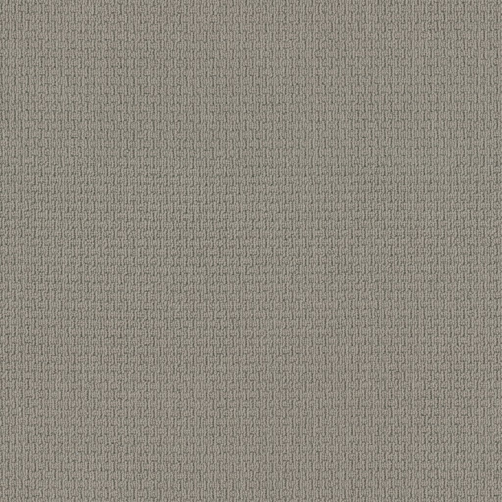 Shaw Floors Space Line - Gray Whisper