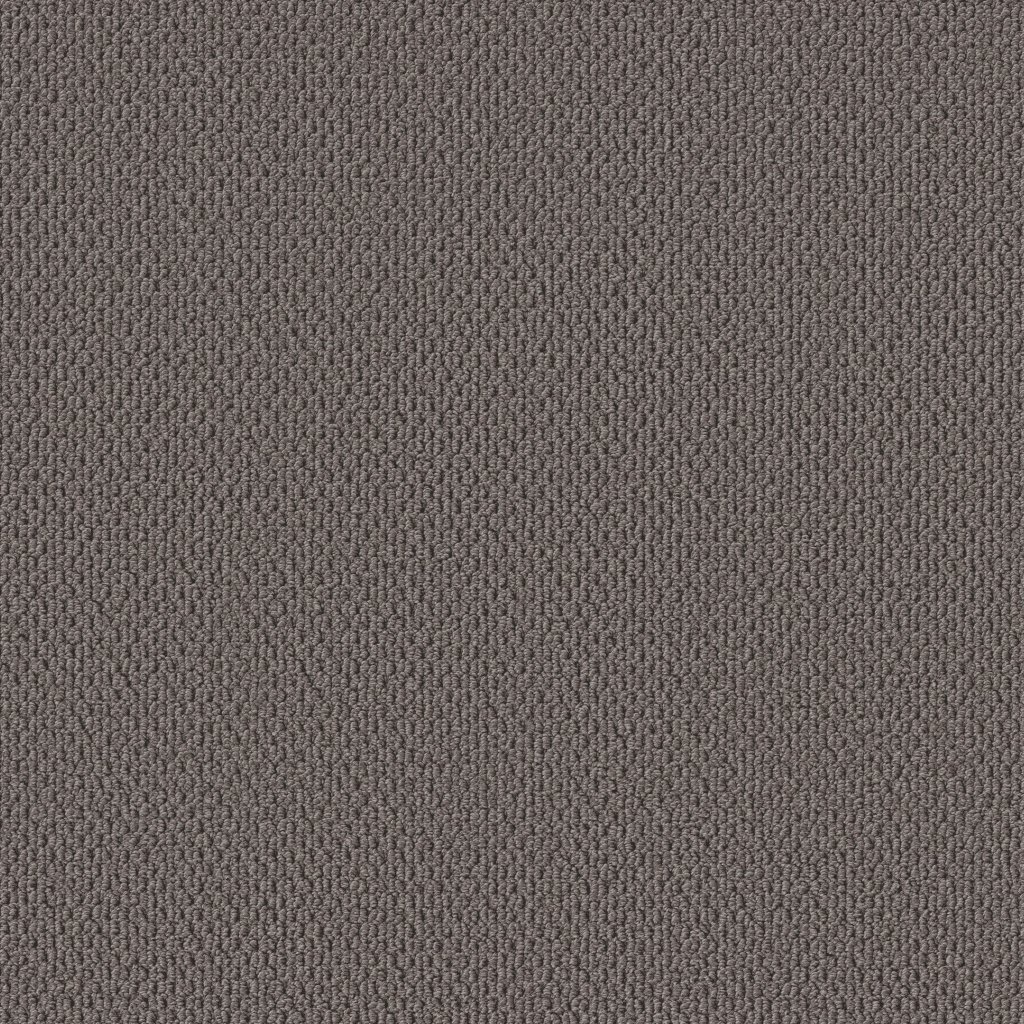 Shaw Floors Perspective Path - Darkroom