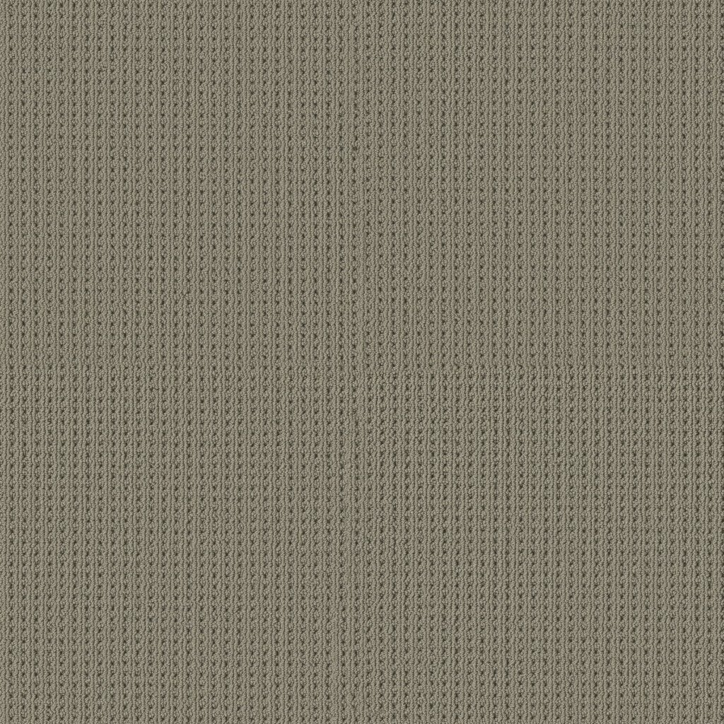 Shaw Floors San Antonio - Pewter