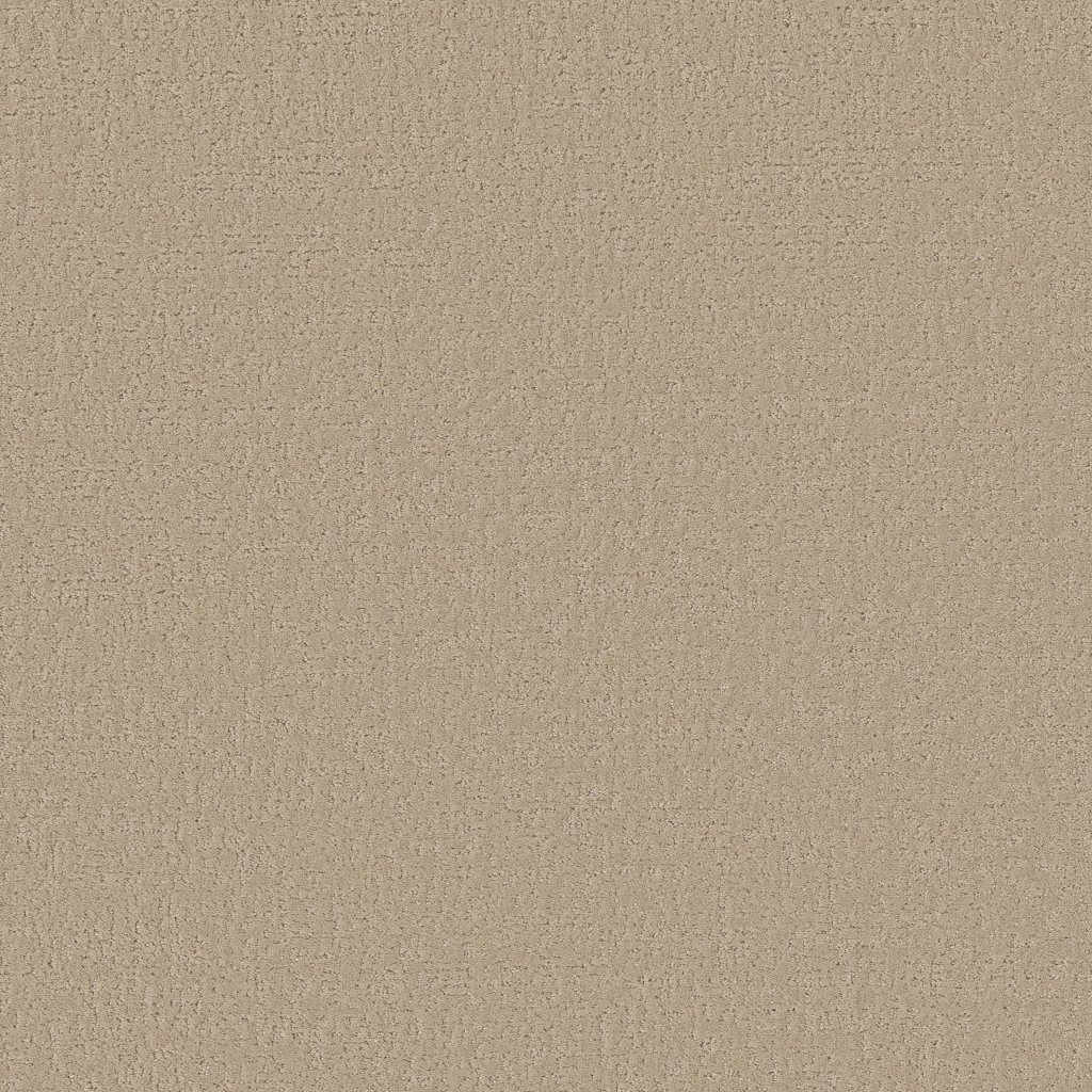 Shaw Floors Canvas Comfort - Back Patio