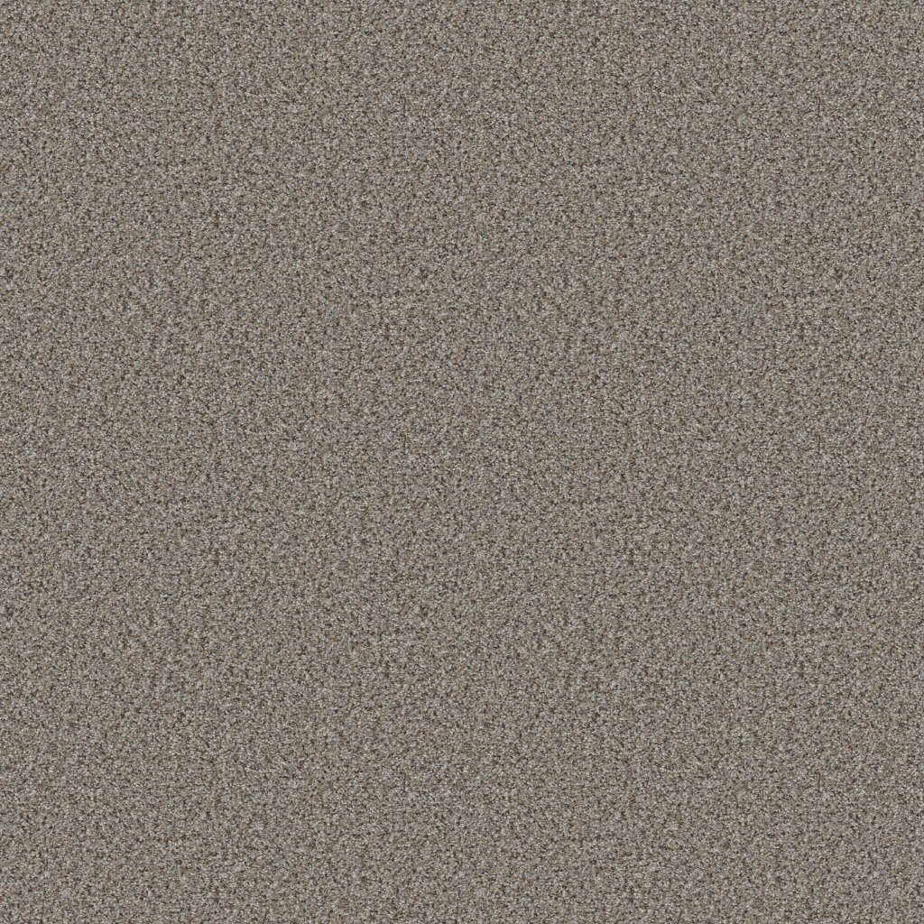 Shaw Floors Abilene I - Powerful