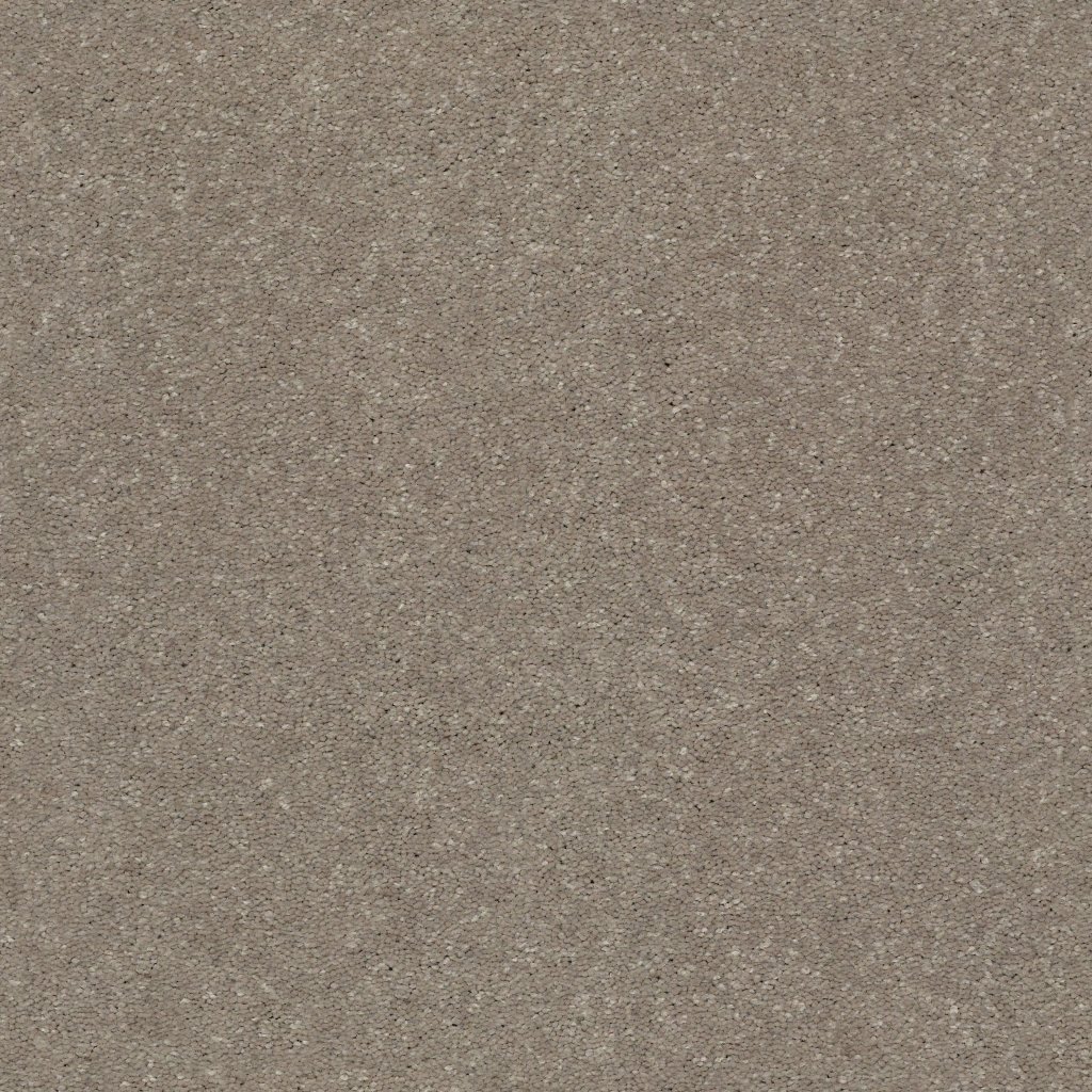 Shaw Floors WELL GROUNDED II 15 - Natural Contour