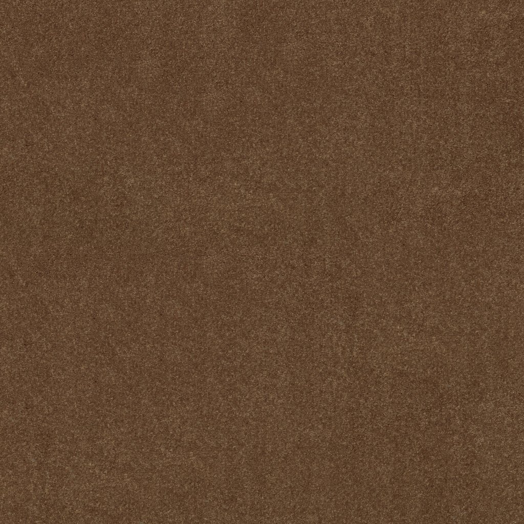 Shaw Floors Well Played I 15' - Pottery