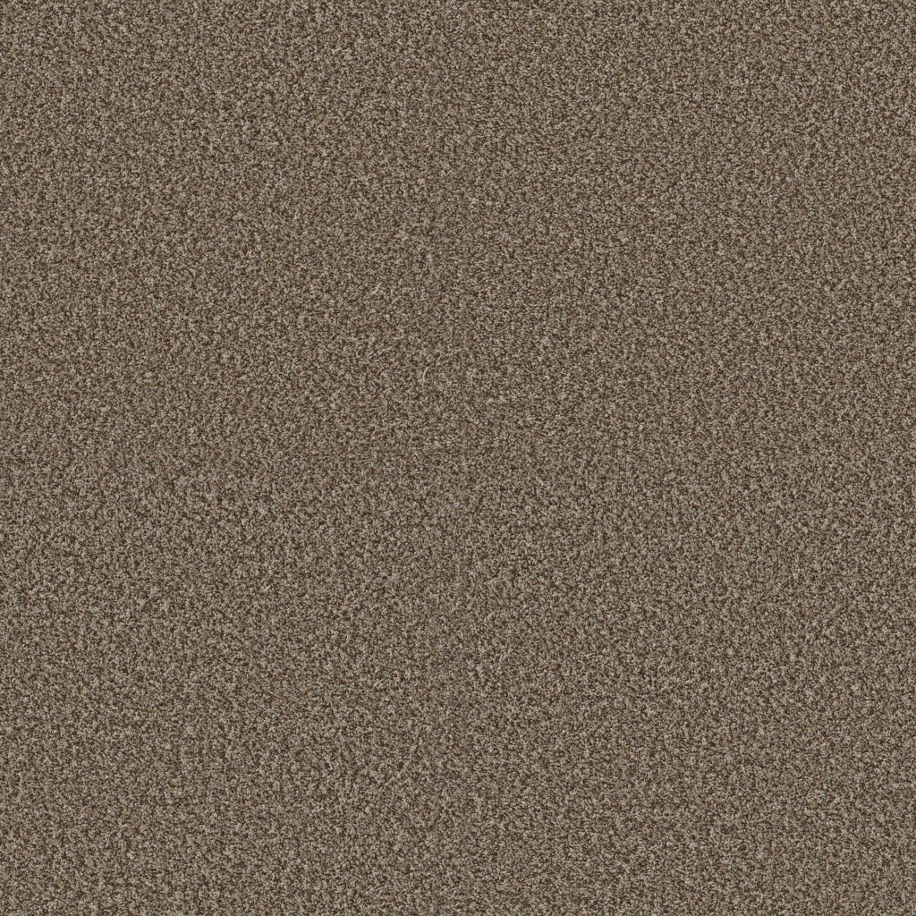 Shaw Floors Yes You Can I 12' - Worn Path