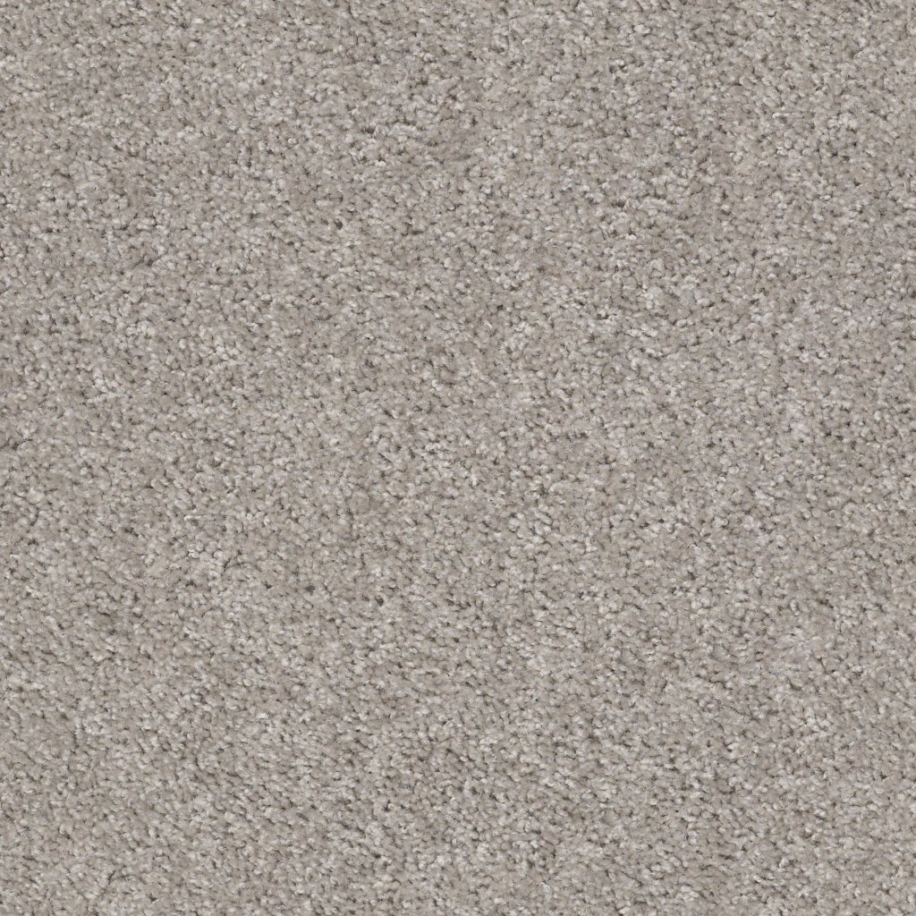 Shaw Floors Valiant - La Paloma