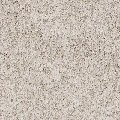 Mohawk Canine Comfort - Frosted Almond
