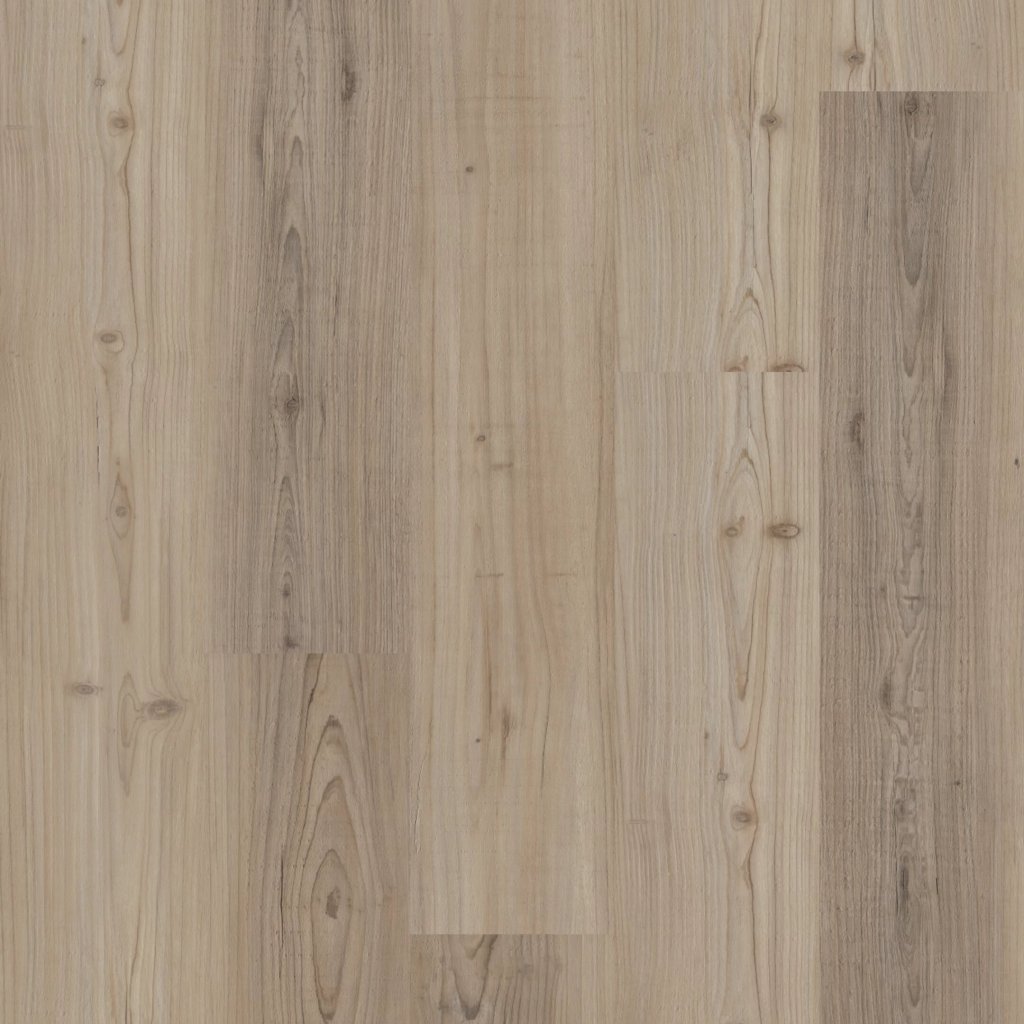 Shaw Floors DISTINCTION PLUS - Light Pine