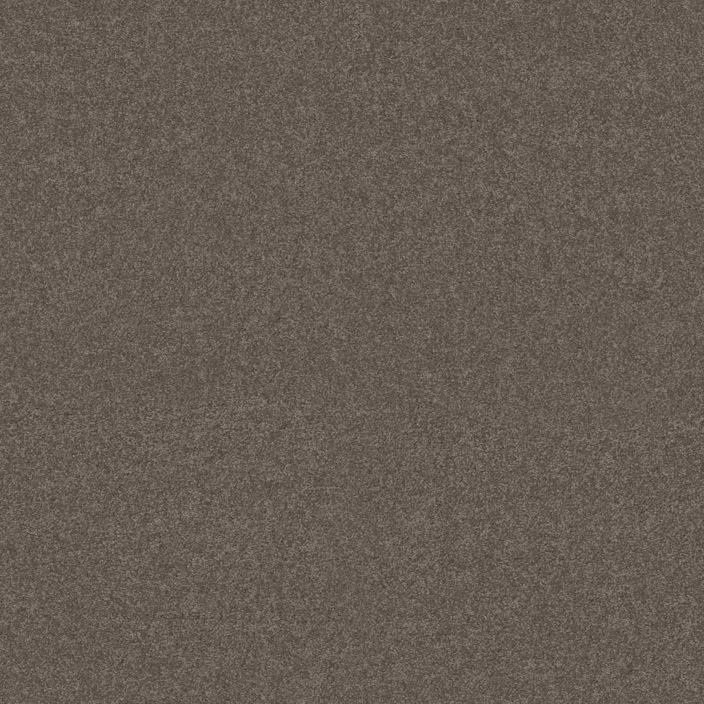 Shaw Floors YOU KNOW IT - Rustic Taupe