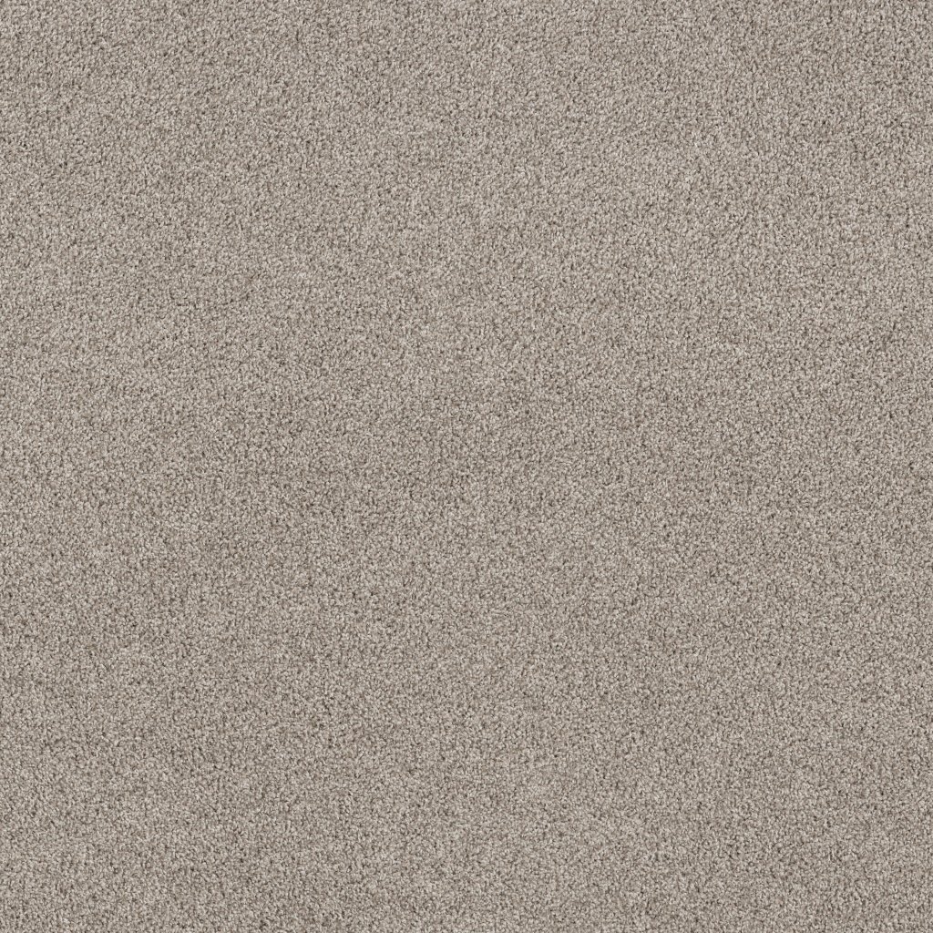 Shaw Floors Tenacious Win - Dawn Beige