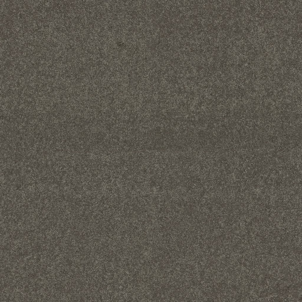 Shaw Floors What's Up - Stone Hearth