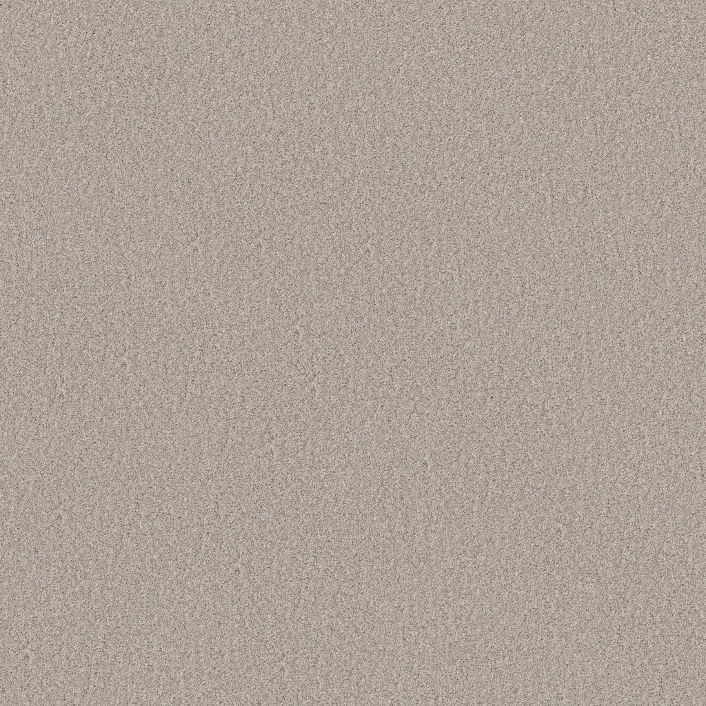 Shaw Floors Wonderland II - Silence