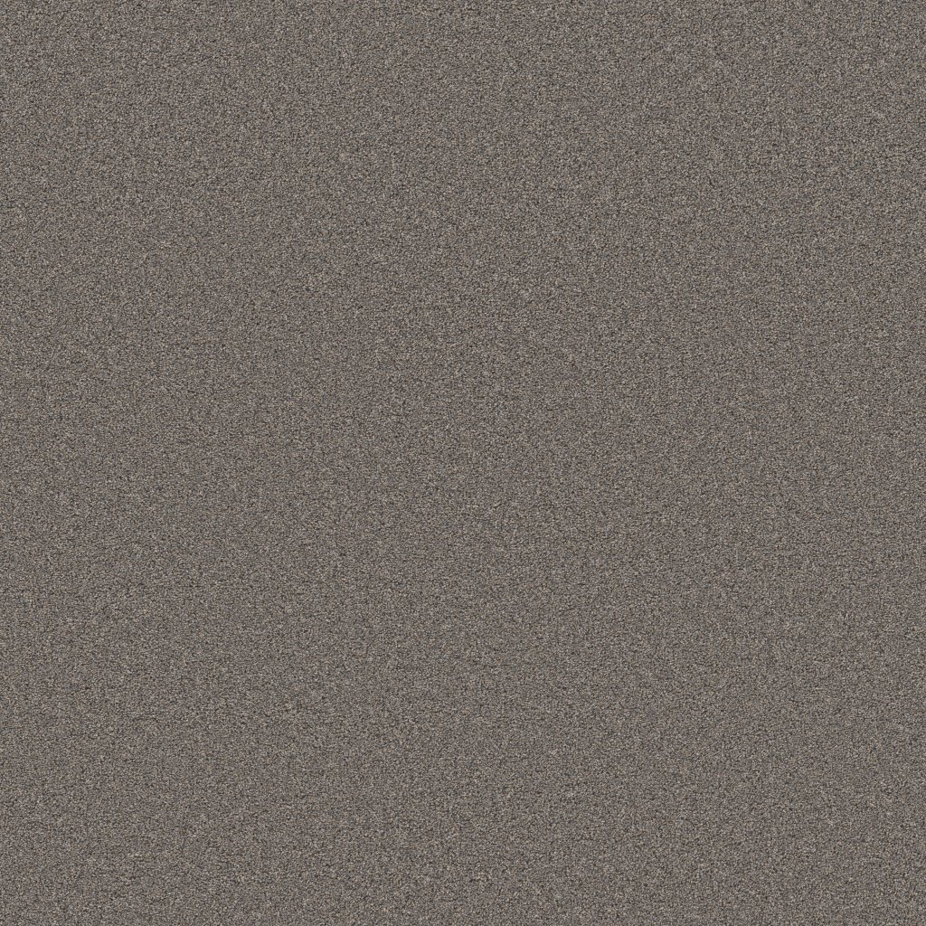 Shaw Floors Blended Touch I - Baltic Brown