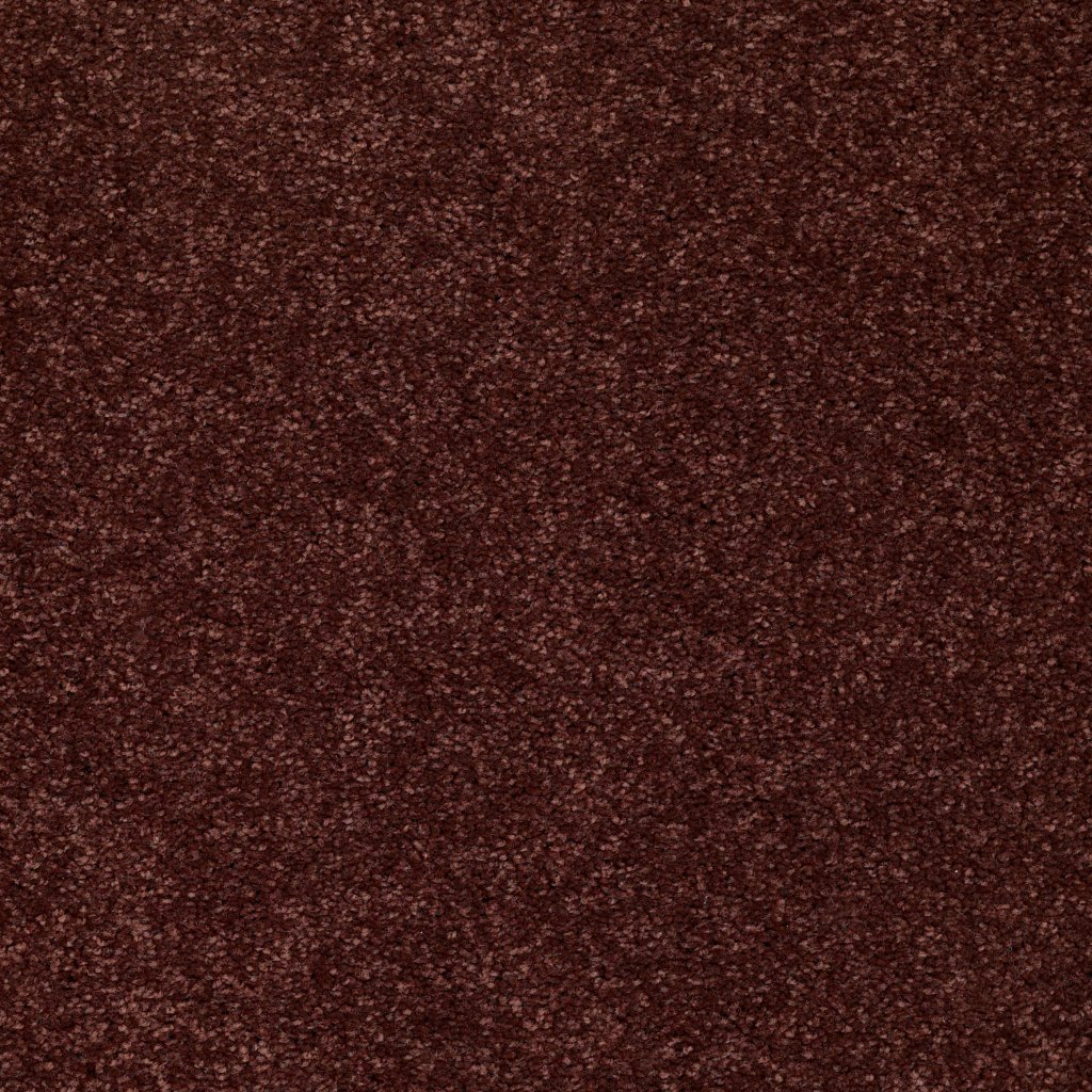 Shaw Floors Newbern Classic 15' - Coffee