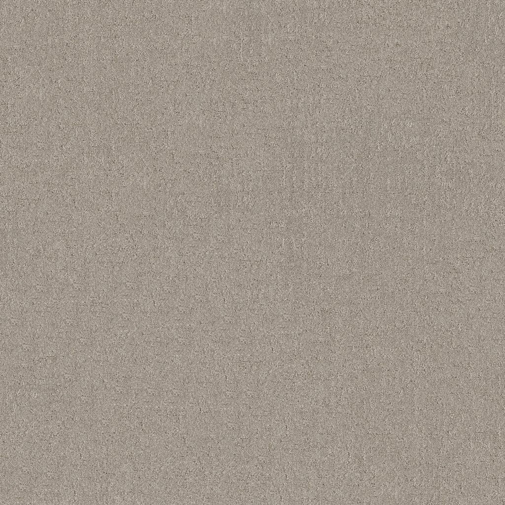Shaw Floors Secret Destination - Marble