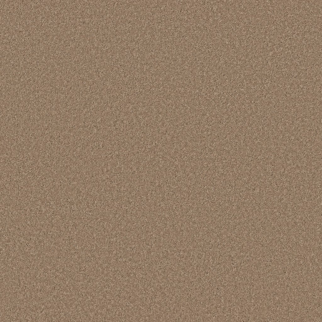 Shaw Floors New Memories S - Sierra