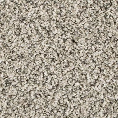 Mohawk Assorted Elements I - Silver Dollar