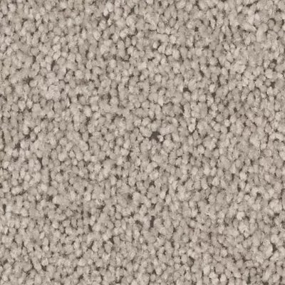 Mohawk Exceptional Choice - Graphite