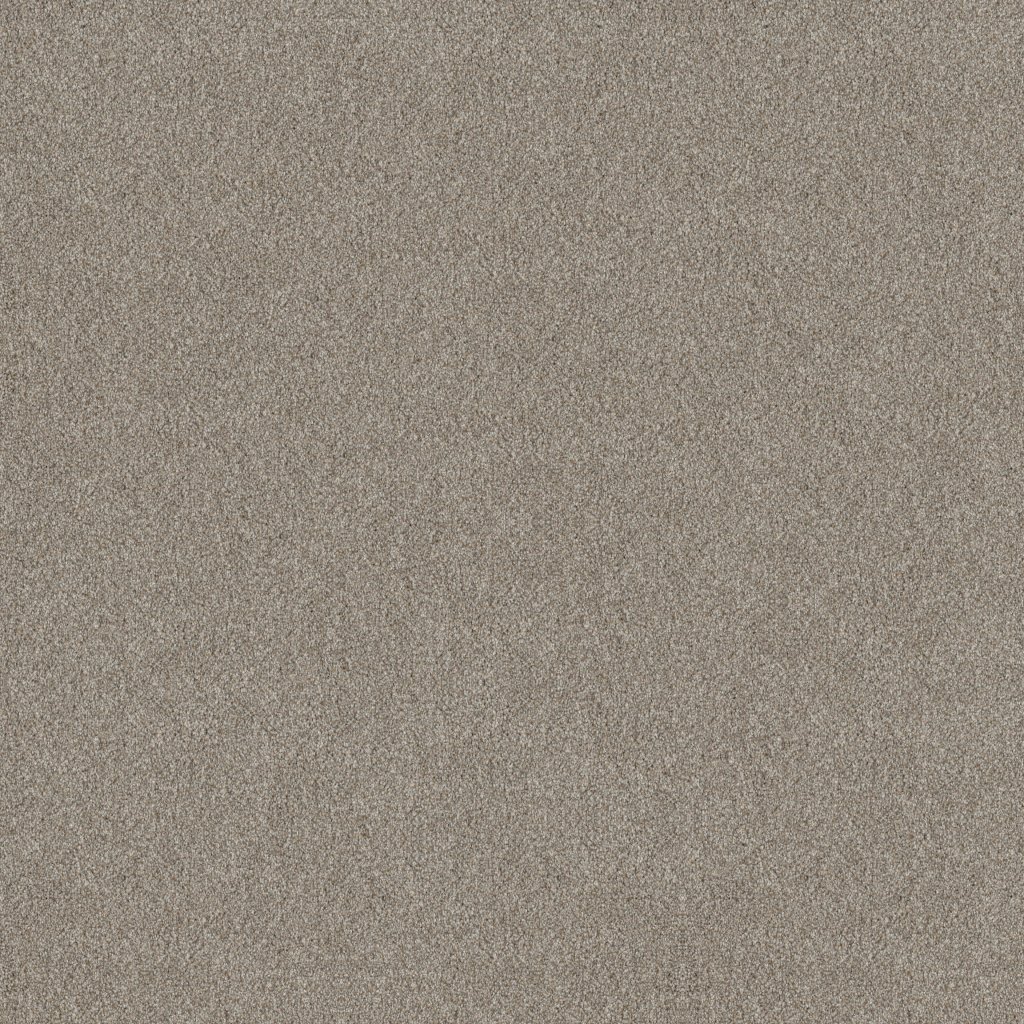 Shaw Floors Trusplendor - Lady Liberty