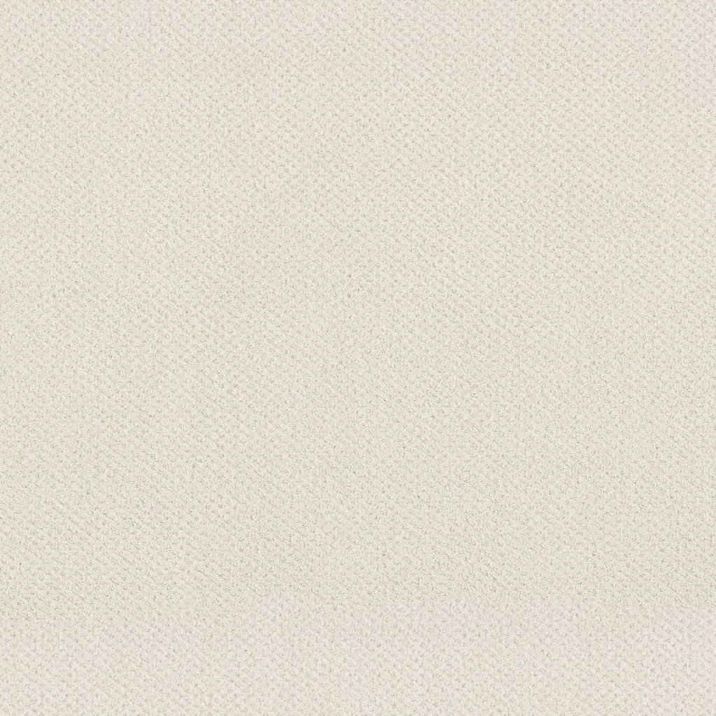 Shaw Floors Mainstay - Serene Still